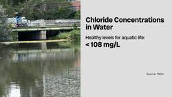 How Toronto’s road salt is harming local waterways Instructional Video