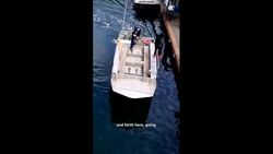 The man behind ferrying West Coast Trail hikers News Clip