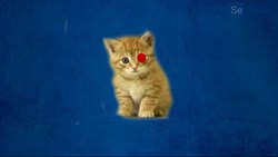 Que es una ventana de oportunidad Instructional Video