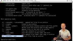 The Complete Practical Docker Guide - Overview of the tar and gzip Utilities Instructional Video