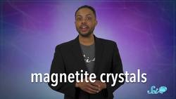 3 Big Things We Learned About the Brain in 2019 Instructional Video