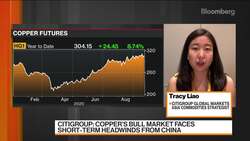 Iron Ore Prices 'Modest Pullback' Expected: Citigroup GM News Clip
