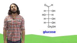 Carbohydrates Part 1: Simple Sugars and Fischer Projections Instructional Video