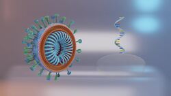 Novel coronavirus could be a hybrid of bat and pangolin viruses: study Instructional Video