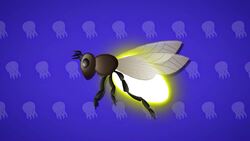 I WONDER - Are There Any Bioluminescent Insects? Instructional Video