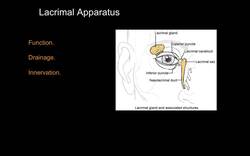 Orbital anatomy tutorial Instructional Video