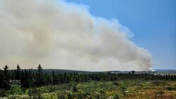 #TheMoment a 10-year old N.L. busker donated his earnings to fire evacuees News Clip
