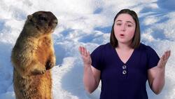 The Science of Hibernation: How Animals Prepare Instructional Video