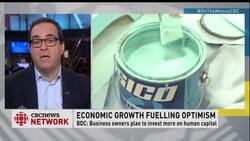 Business outlook News Clip