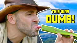 Scorched by the Dumb Cane! Instructional Video