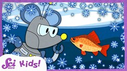 Why Don’t Fish Freeze in Winter? | Winter is Alive! | SciShow Kids Instructional Video
