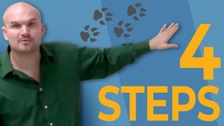 Learn how to graph the parent graph of a quadratic equation in standard form using a table Instructional Video