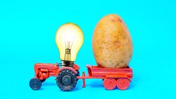 Science Experiment: Potato Battery Instructional Video