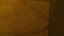 How Did Early Humans Know What To Eat and What To Avoid? Instructional Video