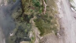 CLEAN : 'Drink it anyway': Syria water woes culminate in cholera News Clip