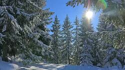 Winter mountain landscape Stock Footage