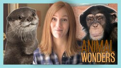 Ask Jessi 9! Instructional Video