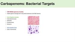 Carbapenems | Bacterial Targets, Mechanism of Action, Side Effects Instructional Video