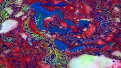 Abstract Colorful Mixing Oil And Paint Blasting Background Texture Stock Footage