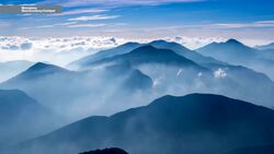 Betting on Biocarbon News Clip