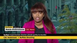 Buffalo supermarket shooter pleads guilty to murder News Clip