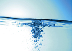 La fermentación Instructional Video