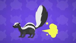I WONDER - Is A Skunk's Spray Dangerous? Instructional Video