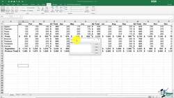 The Complete Excel Guide: Beginners to Advanced - Custom Views Instructional Video