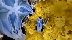 Kaleidoscope background footage for creative design Stock Footage