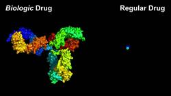 Christopher Bahl: A new type of medicine, custom-made with tiny proteins Instructional Video