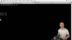 The Complete Practical Docker Guide - How to Send Data to STDIN and Redirect STDOUT and STDERR Instructional Video