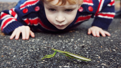 Leadership and Teamwork Instructional Video