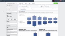 How To Create a Facebook Ad Custom Audience with Audience Insights Instructional Video