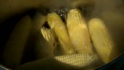 Secrets of Plant Genomes Revealed! - Corn, the Dynamic Genome Instructional Video