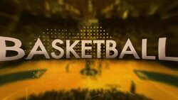 Basketball Stock Footage