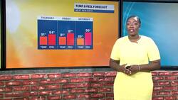 Partly sunny, warm and very humid for the Bronx; tracking showers/storms later Instructional Video