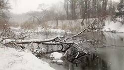 NASA | Studying the Science of Falling Snow Instructional Video