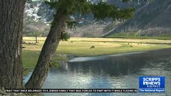 National Park Foundation gets record $100 million grant News Clip