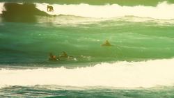 Get My Job - Lifeguard Instructional Video