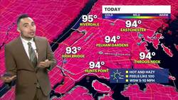 HEAT ALERT: Hazy, hot and humid for the Bronx; pop-up showers for the weekend Instructional Video