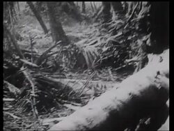 Harry S. Truman addressing the camera, Iwo Jima and Okinawa, kamikaze pilots, Emperor Hiroito Stock Footage