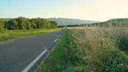 Driving on road past a Blooming lavender field, Vaucluse, Provence, France Stock Footage