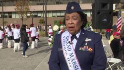 Stamford's annual Veterans Day Parade draws hundreds of residents News Clip