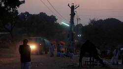 Pushkar Camel Fair, India Stock Footage