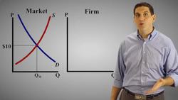 Perfect Competition Short Run (1 of 2)- Old Version Instructional Video