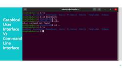 Linux Operating System: A Complete Linux Guide for Beginners - GUI Versus CLI Instructional Video