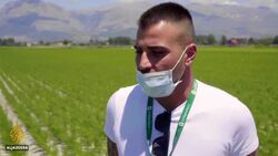 Italy farmers strive to save businesses as pandemic bites News Clip