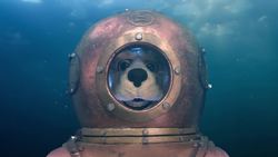 Animal Alphabet: G is for Green Turtle Instructional Video