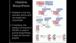 Histidine Biosynthesis AICAR Production Instructional Video