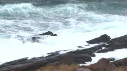 Familiar warnings shared as search for woman swept into water at Cape Spear becomes recovery mission News Clip